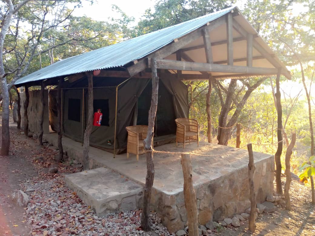 wildlife camp